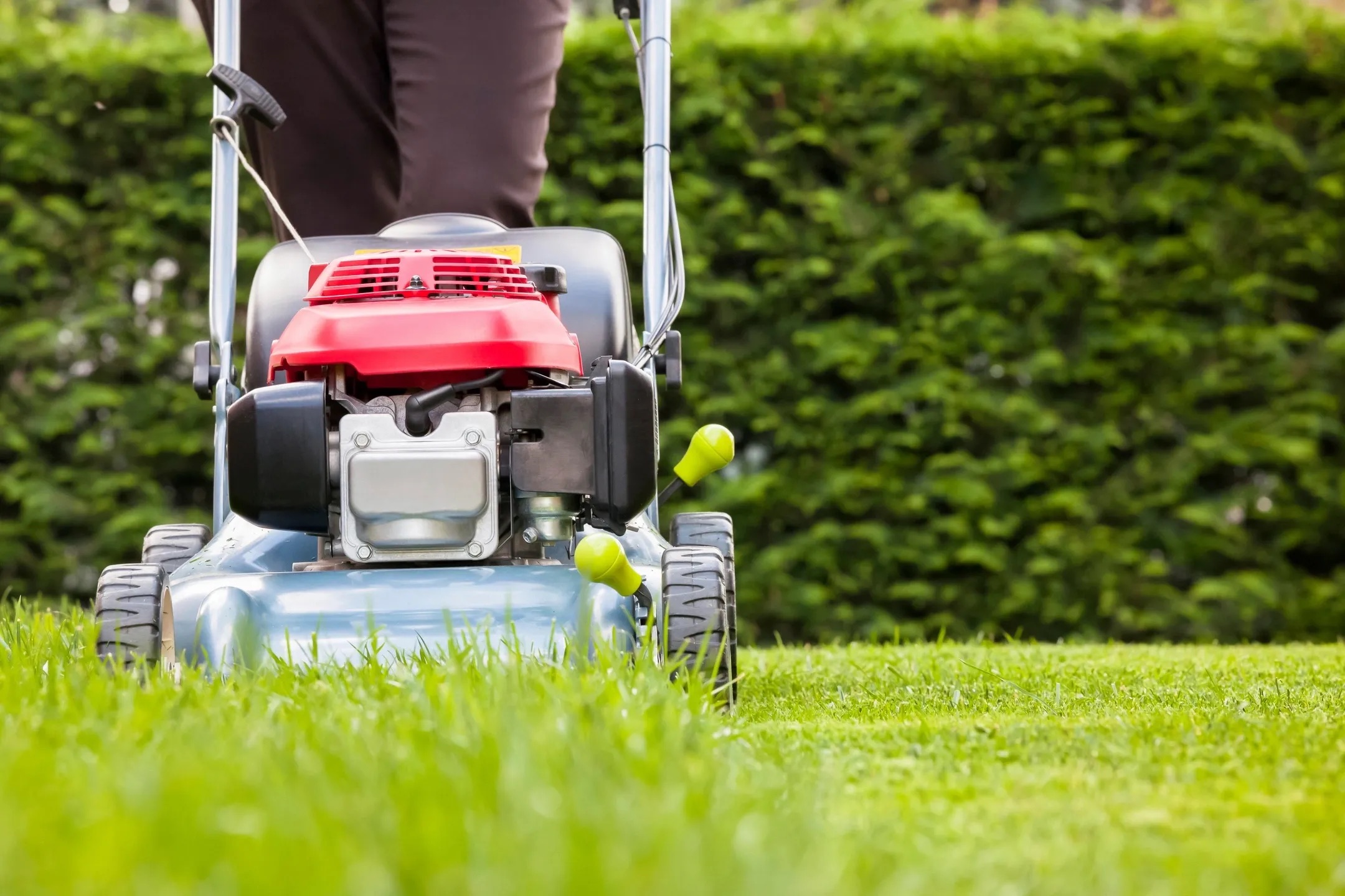Grass cutting / lawn care